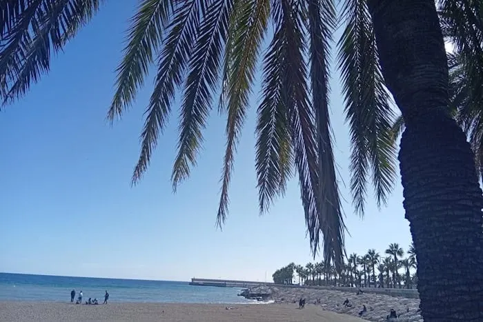 Między Rondem a Palmą (1550): W Pińczowie dnieje