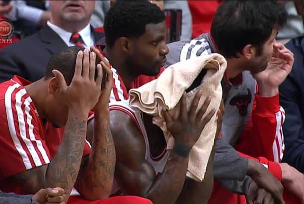 bulls